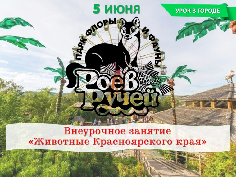 Урок в городе.